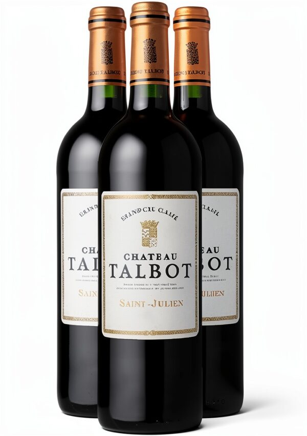 Vino Bordeaux Saint-Julien rosso DOP Cabernet Merlot Francia-0