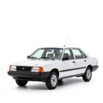 Bucheli libro tedesco ristampa 202 pagine formato grande-0