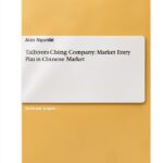 GRIN Verlag libro inglese 20 pagine formato tascabile-0