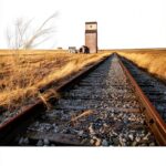 Nabu Press libro inglese 92 pagine formato tascabile-0