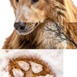 Bareback Angels libro in inglese pubblicazione 2008-0