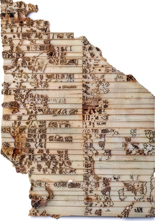 Yale University Press libro inglese pubblicato 2013 ASIN-0