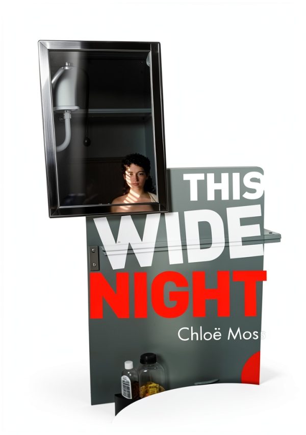 This Wide Night NHB Modern Plays eBook inglese letteratura
