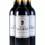 DOP Saint Julien Bordeaux Francia vino rosso distinzione-0