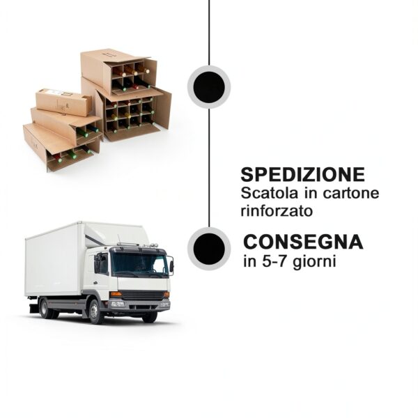 DOP Saint-Julien Bordeaux Francia vino rosso premi-2